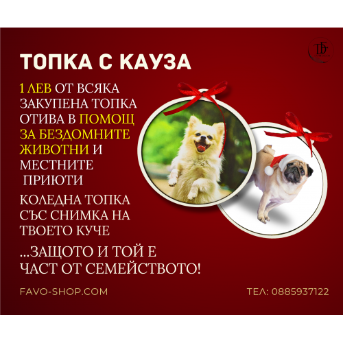 Топка с кауза