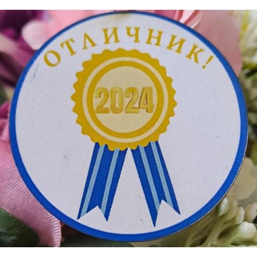 Значка отличник 4